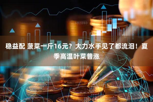 稳益配 菠菜一斤16元？大力水手见了都流泪！夏季高温叶菜普涨