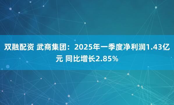 双融配资 武商集团：2025年一季度净利润1.43亿元 同比增长2.85%
